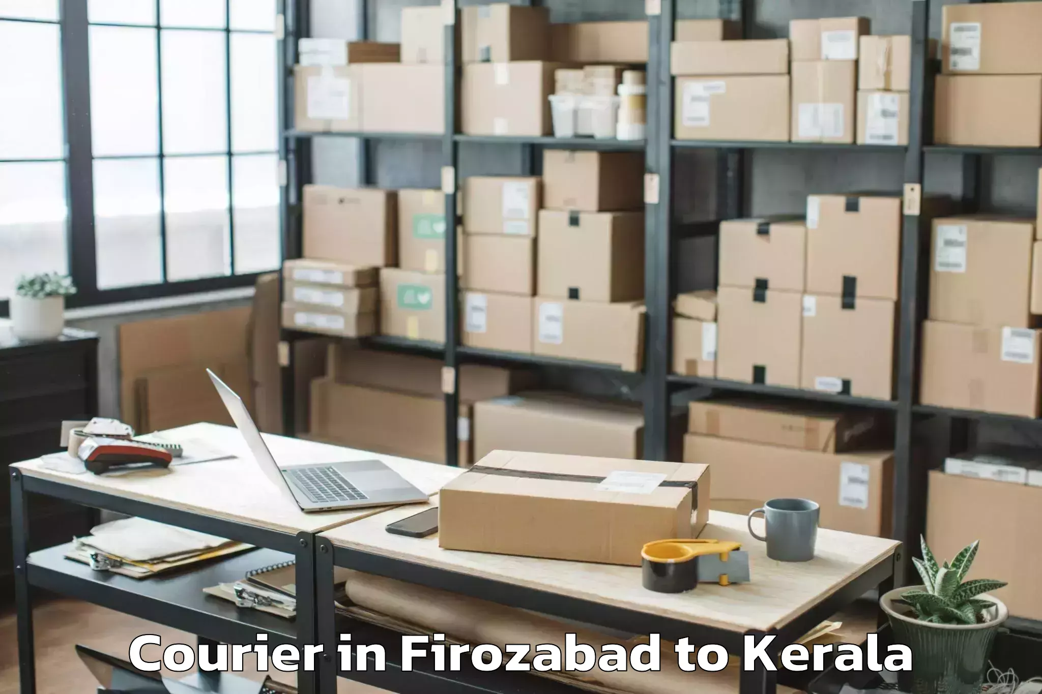 Professional Firozabad to Pandalam Courier